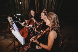 String trio playing a wedding at the Jacksonville Zoo